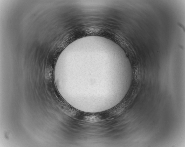 X0000102250561200808151819