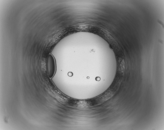 X0000102250562200808151819