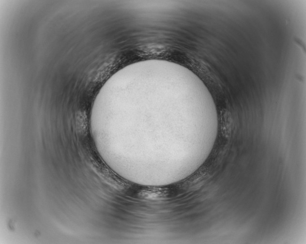 X0000102250563200808151820