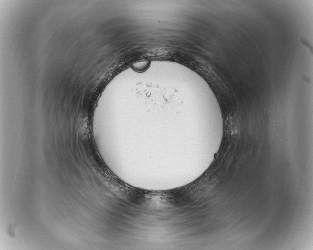 X0000102250564200808151820