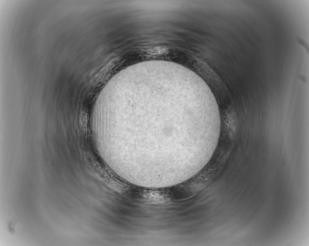 X0000102250565200808151820