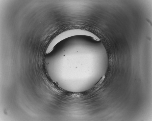 X0000102250566200808151820