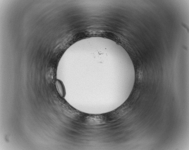 X0000102250567200808151820