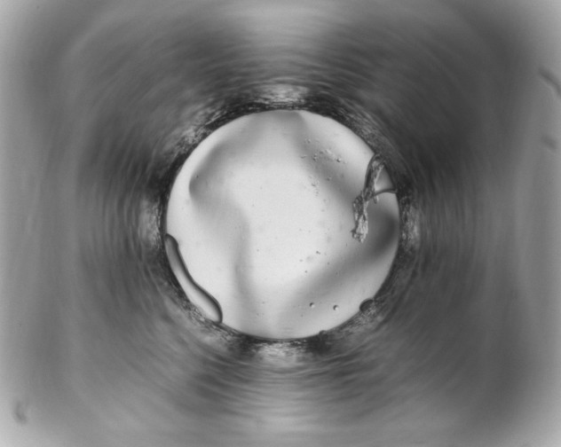 X0000102250568200808151820