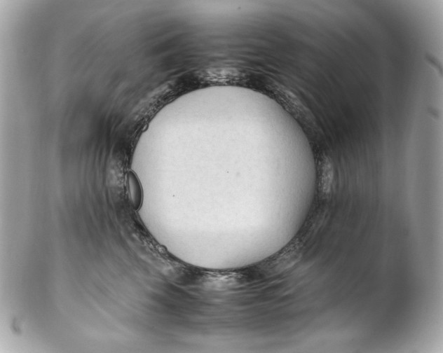 X0000102250569200808151820