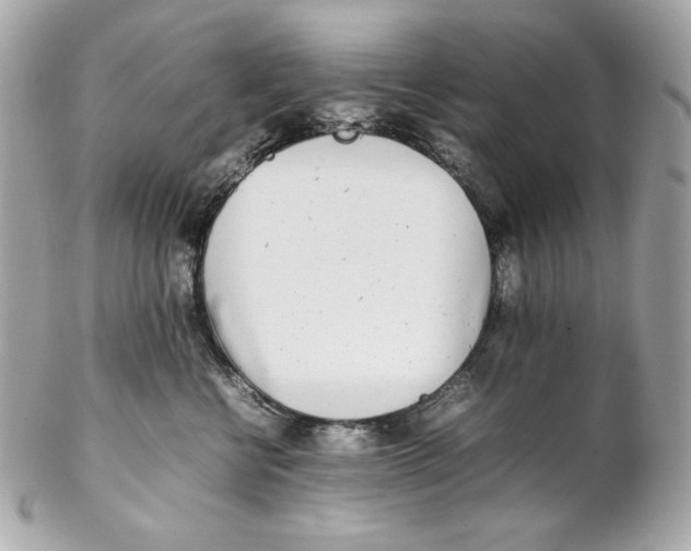 X0000102250570200808151820