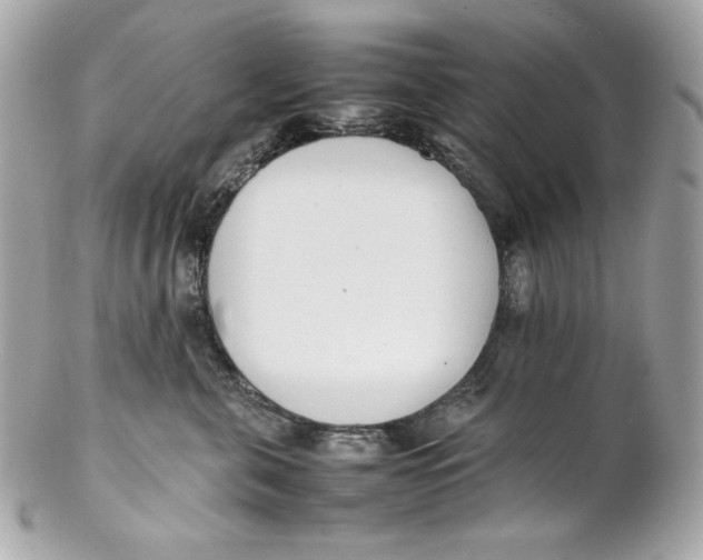 X0000102250571200808151820