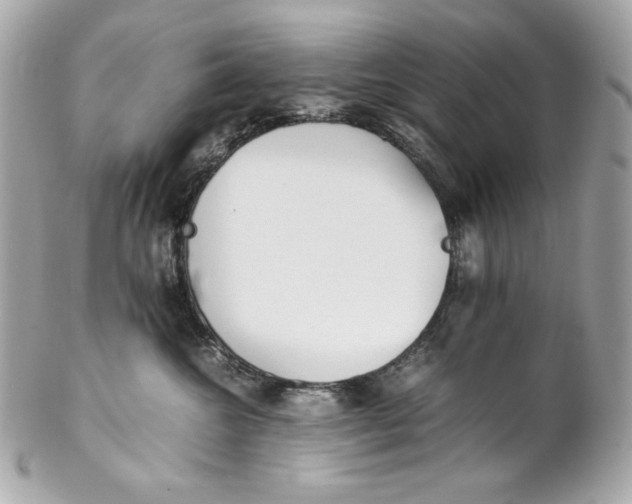 X0000102250572200808151820