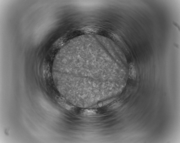 X0000102250573200808151820