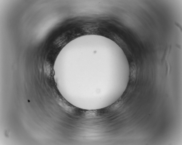 X0000102250574200808151820