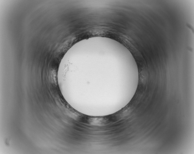 X0000102250575200808151820