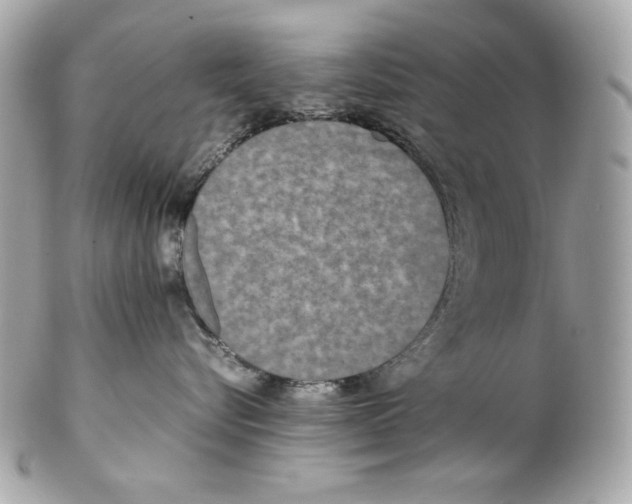 X0000102250576200808151820