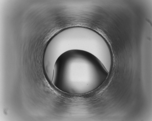 X0000102250577200808151819