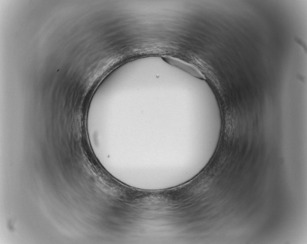 X0000102250578200808151819