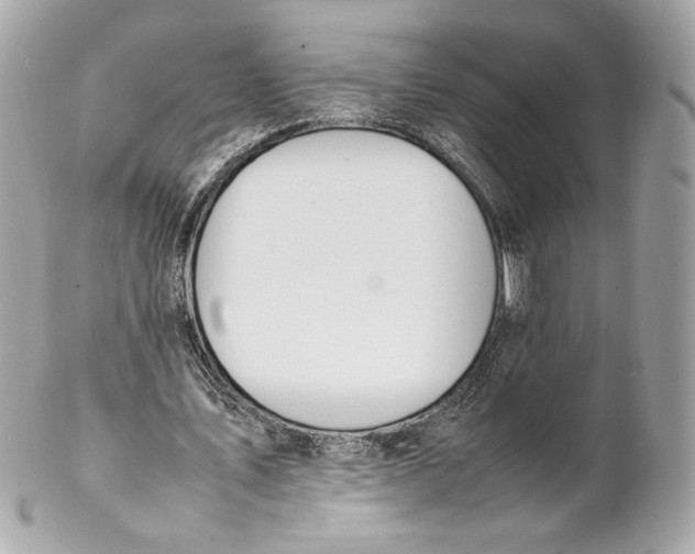 X0000102250579200808151819