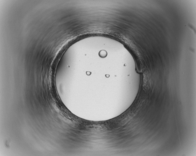 X0000102250580200808151819