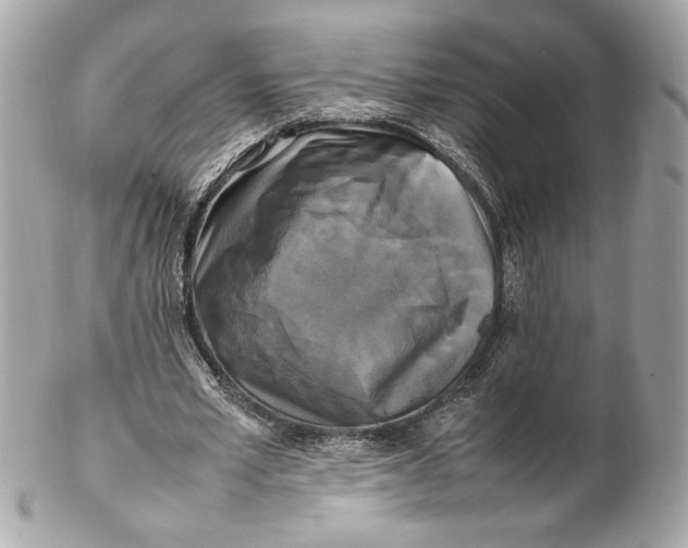 X0000102250581200808151819