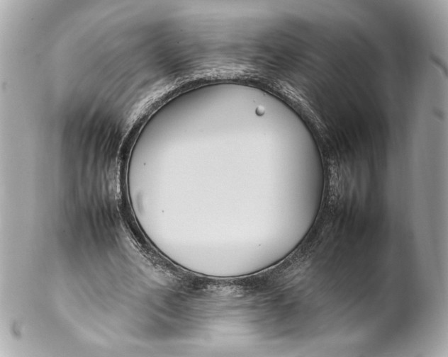 X0000102250582200808151819