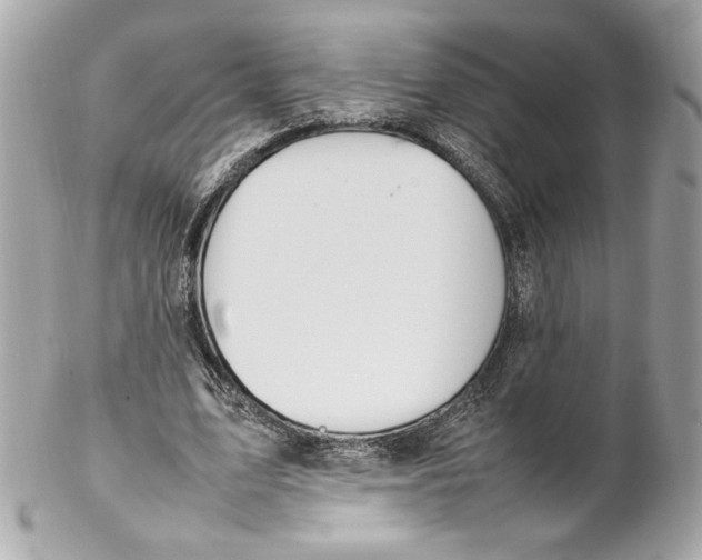 X0000102250583200808151819