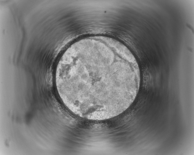 X0000102250584200808151819