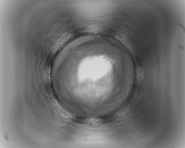 X0000102250585200808151819