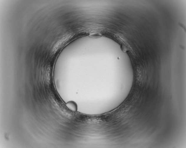 X0000102250586200808151819