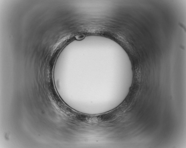 X0000102250587200808151819