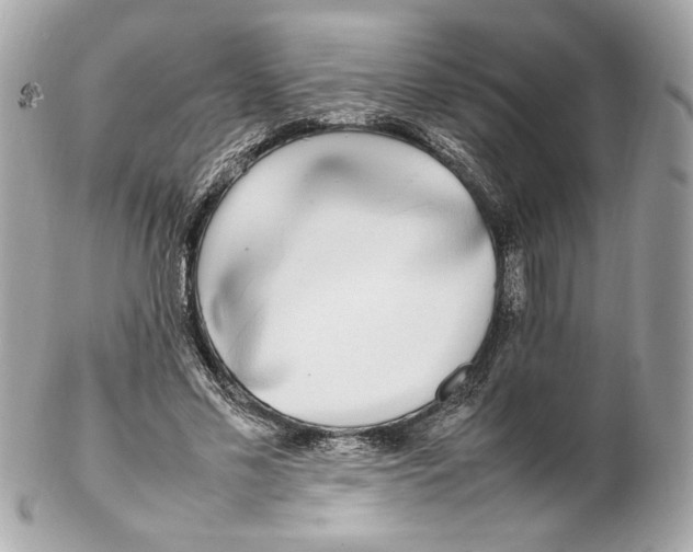 X0000102250589200808151819