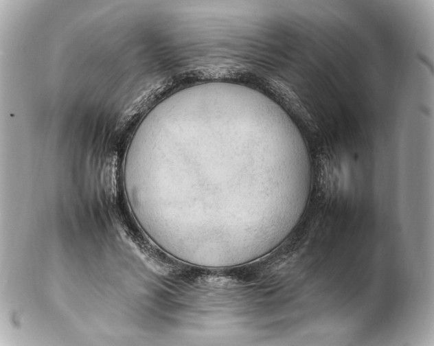 X0000102250590200808151819