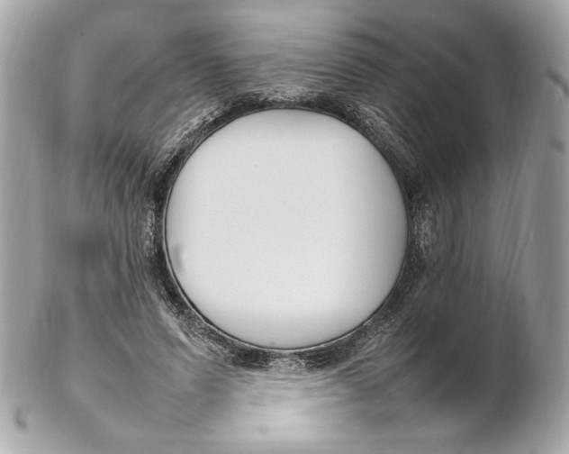 X0000102250591200808151819