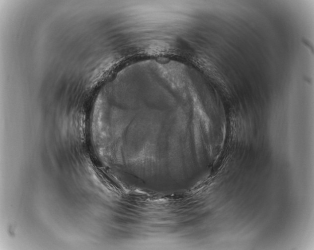 X0000102250592200808151819