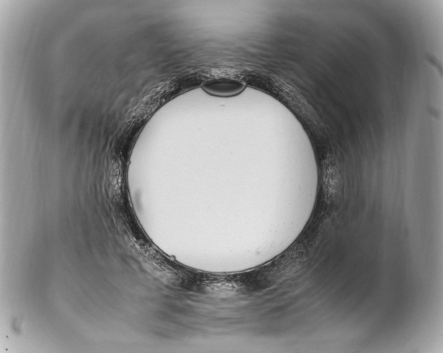 X0000102250593200808151819