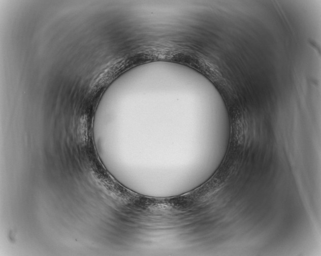 X0000102250594200808151819