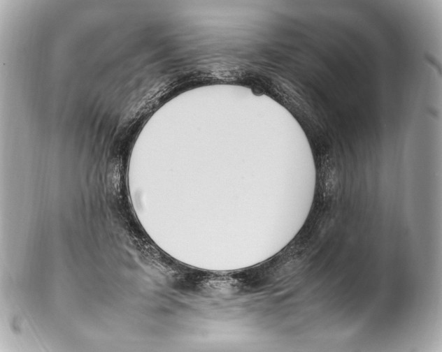 X0000102250595200808151819