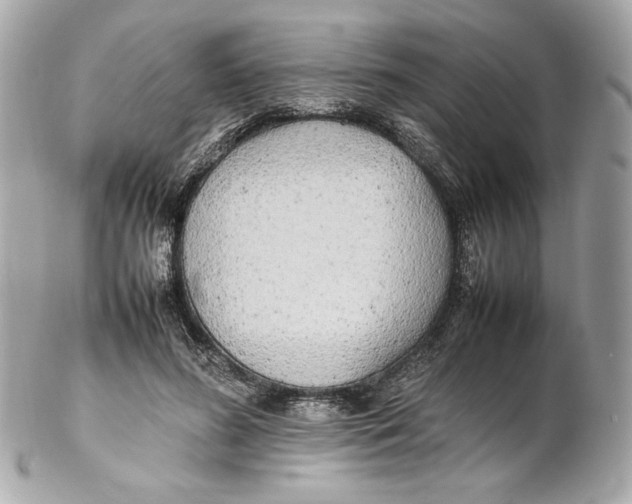 X0000102250596200808151819