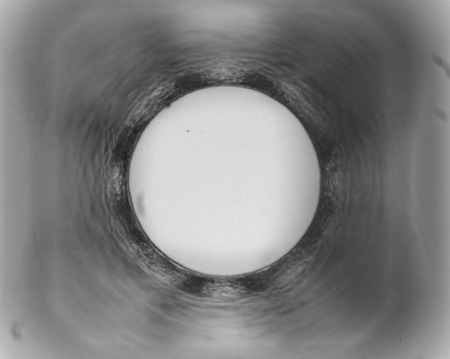 X0000102250597200808151819