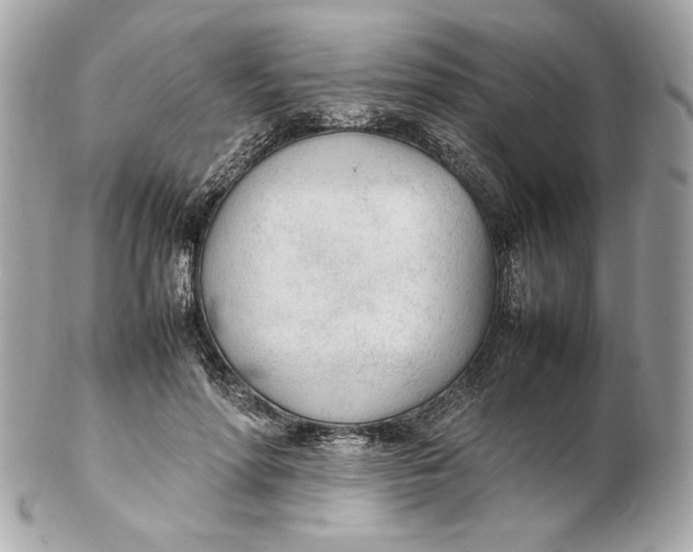 X0000102250598200808151819