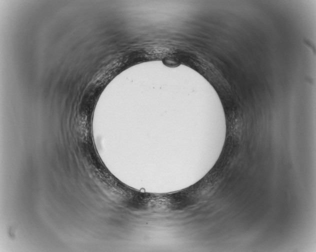 X0000102250599200808151819