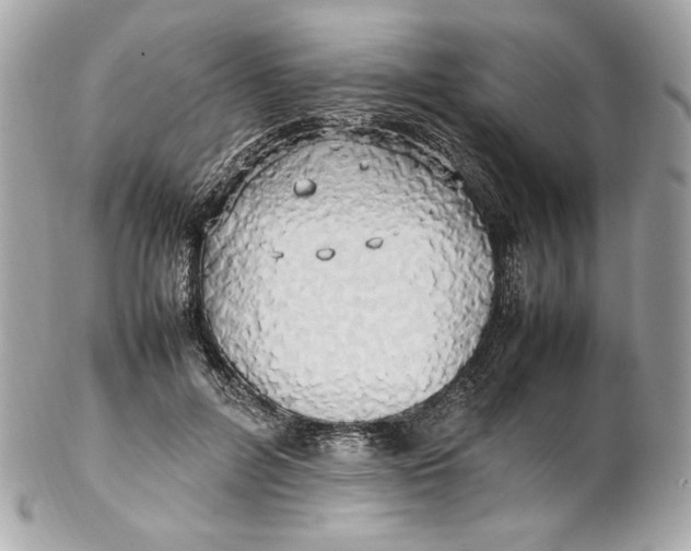 X0000102250600200808151819