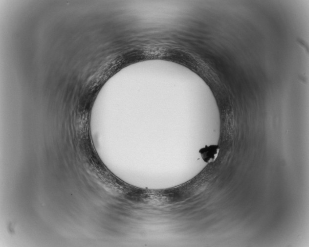 X0000102250601200808151819