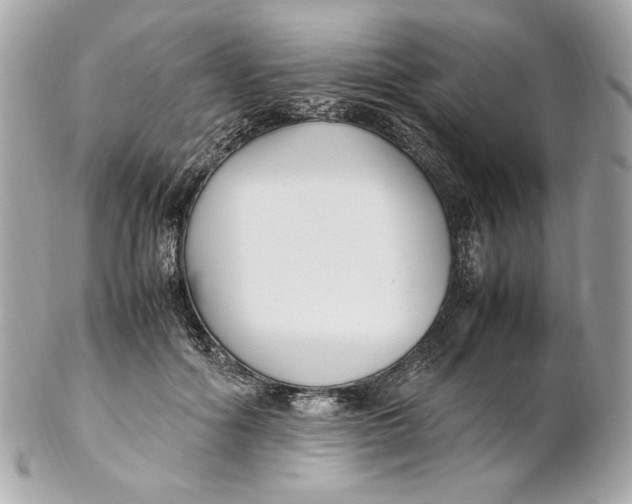 X0000102250602200808151819