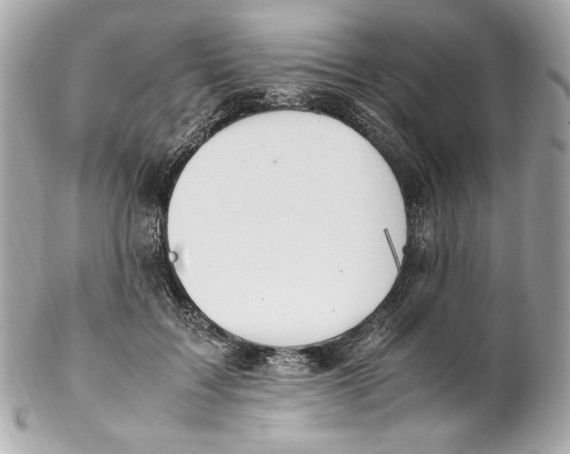 X0000102250603200808151819