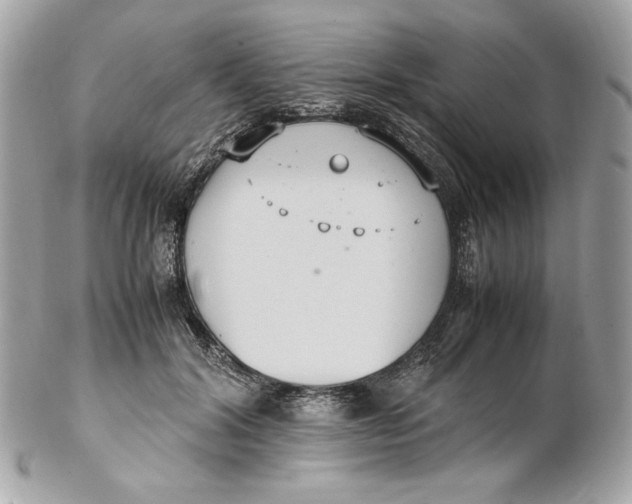 X0000102250604200808151819