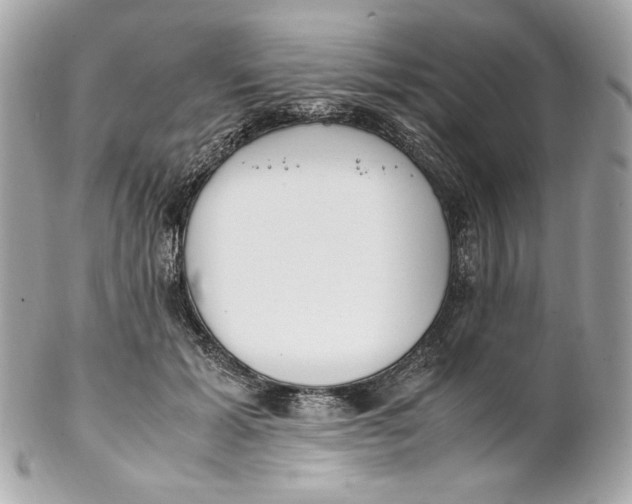 X0000102250605200808151819