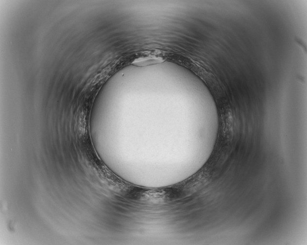 X0000102250606200808151819