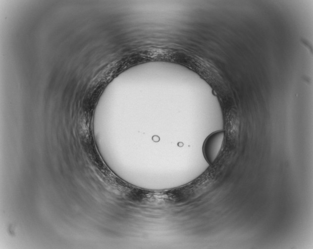 X0000102250607200808151819