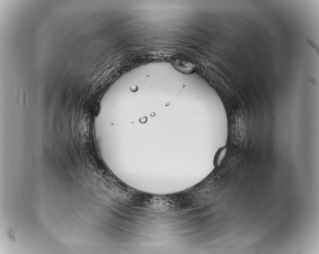 X0000102250608200808151819