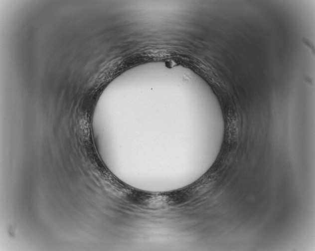 X0000102250609200808151819