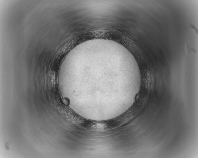 X0000102250610200808151819