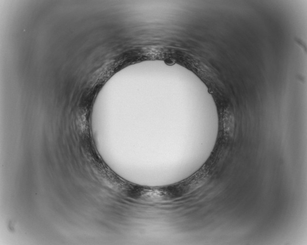 X0000102250611200808151819